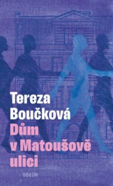 Dům v Matoušově ulici (poškozená) - Tereza Boučková
