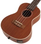 Bamboo U-23 Sapele-Q