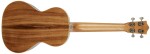 Lanikai ACS-T