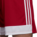 Pánské šortky Tastigo 19 DP3681 Adidas