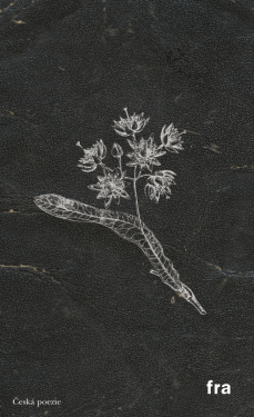 Herbář k čemusi horšímu - Petr Borkovec