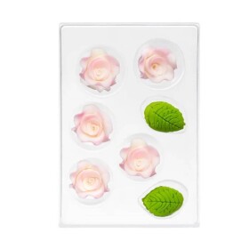 Dortisimo Cukrová dekorace Růže malá bílo-růžová s lístky (11 ks)