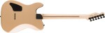 Fender Jim Root Telecaster EB SGD
