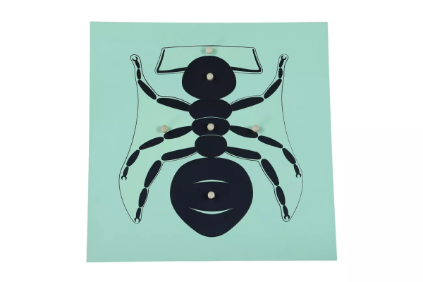 Moyo Montessori Moyo Montessori Puzzle - mravenec