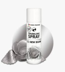 Barva ve spreji Food Colours New Silver (250 ml) Stříbrná