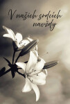 Přání K - Kondolence 1