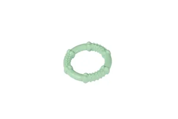 Karlie Nylonový žvýkací kroužek máta - 10cm (KF-521442)
