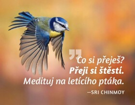 Magnet na lednici - Co si přeješ? Přeji si štěstí. Medituj na letícího ptáka. - Sri Chinmoy