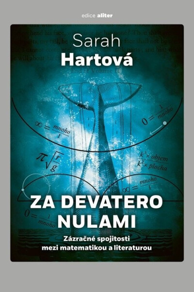 Za devatero nulami - Zázračné spojitosti mezi matematikou a literaturou - Sarah Hartová