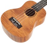 Tanglewood TWT 5