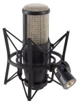 AKG Perception P 220