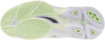 Volejbalová obuv Mizuno WAVE LIGHTNING PRO V1GC266085 Velikost obuvi v EU: 39