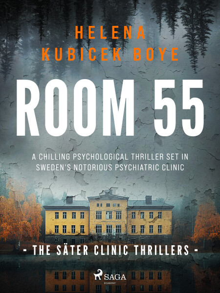 Room 55 - Helena Kubicek-Boye