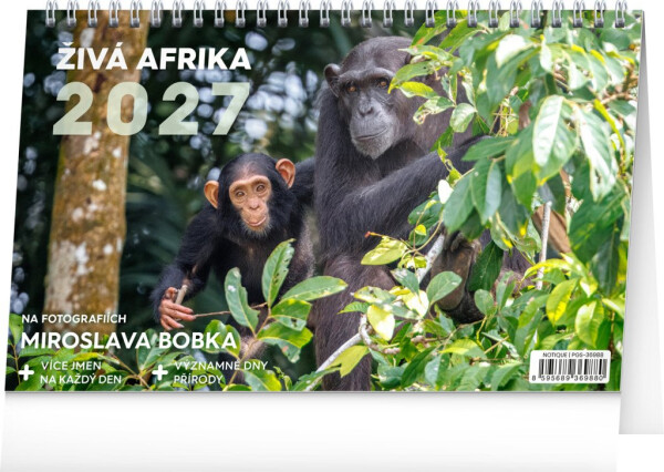 NOTIQUE Kalendář 2027 stolní: Živá Afrika, 23,1 x 14,5 cm