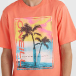 O'Neill Jack Neon T-Shirt 92800613602