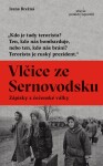 Vlčice ze Sernovodsku - Zápisky z čečenské války - Irena Brežná