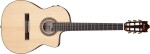 Ibanez GA360TCE NT
