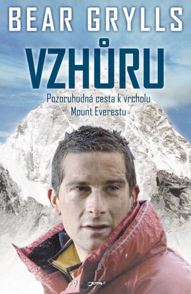 Vzhůru Pozoruhodná cesta vrcholu Mount Everestu Bear Grylls