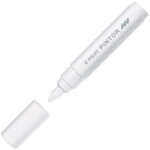 Pilot Pilot Pintor, sada 10 ks