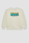 DEFACTO Boys Marvel Regular Fit Hooded Thick Sweatshirt