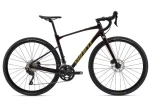 Giant Revolt 1 gravel kolo Cordovan M/L