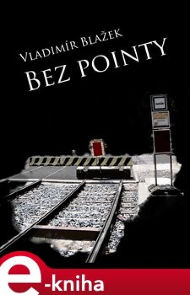 Bez pointy - Vladimír Blažek e-kniha