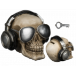 Ootb.de Pokladnička lebka - sluchátka