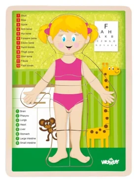 Woody Puzzle Lidské tělo - Holka EN