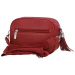 Stylová dámská koženková crossbody kabelka Danika, červená