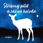Stříbrný potok a zářivá hvězda - audiokniha