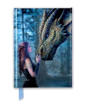 Zápisník Anne Stokes: Once Upon a Time (Foiled Journal)