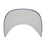 47 Brand Pánská kšiltovka Minnesota Vikings NFL Hitch RF Snapback