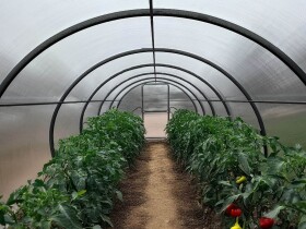 Obloukový polykarbonátový skleník Dodo 300 3×4 m PC 8 mm černý