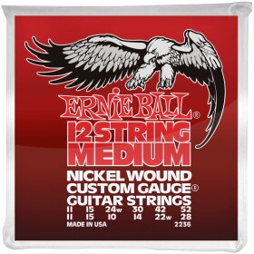 Ernie Ball 2236 Nickel Wound 12-String Medium