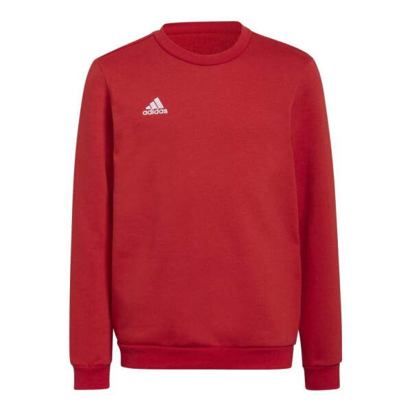 Dětská mikina Entrada 22 Sweat Jr H57473 Adidas