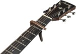 Ibanez IGC10W