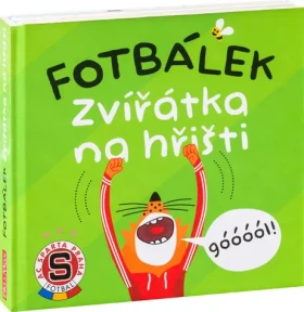 Fotbálek zvířátka na hřišti –