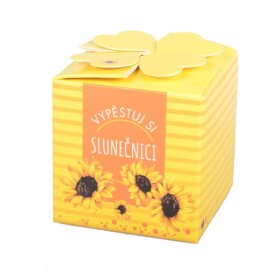 Divja.cz Vypěstuj si slunečnici