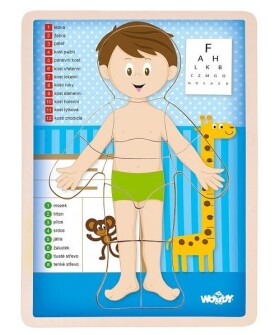 Puzzle ´´Lidské tělo´´ Kluk