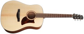 Ibanez AAD100 Natural