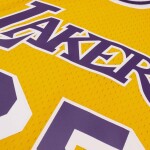 Mitchell & Ness Pánský dres Los Angeles Lakers NBA Eddie Jones #25 1994-95 Swingman Velikost: S