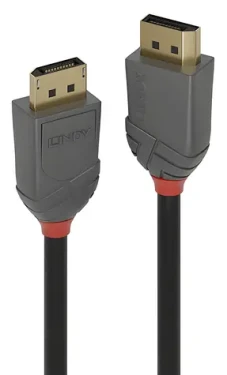 Lindy DisplayPort 1.1 kabel černá / Přípojný kabel / DisplayPort - DisplayPort / 15 m / 60 Hz (36487)