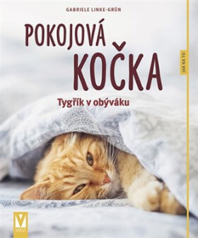 Pokojová kočka - Jak na to - Gabriele Linke-Grün