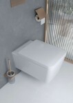 HANSGROHE - AddStoris WC štětka nástěnná, matné sklo/kartáčovaný bronz 41752140