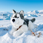 Plyšový pes husky s obojkem ležící 60 cm ECO-FRIENDLY