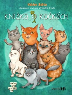 Knížka o kočkách - Václav Bárta - e-kniha