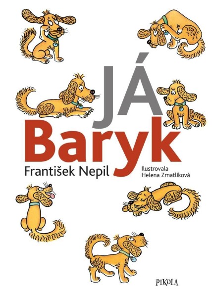 Já Baryk