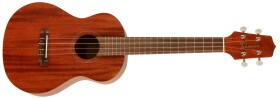 Takamine EGU-T1