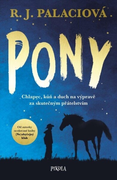 Pony, 1. vydání - Raquel J. Palaci