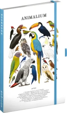 NOTIQUE Notes Animalium – Ptáci / Linkovaný zápisník / A5 / 172 stran